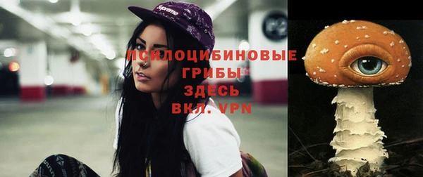 гидропоника Пролетарск