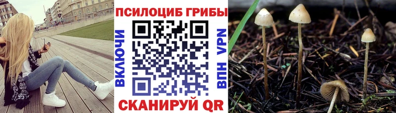 Галлюциногенные грибы GOLDEN TEACHER  kraken сайт  Междуреченск 