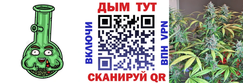 Бошки марихуана индика  как найти   Междуреченск 